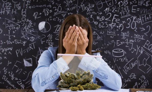 cannabis studies that are dumb