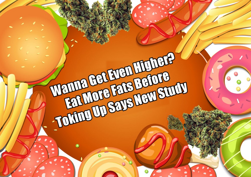 eat fats before weed to get higher