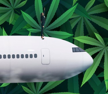 edibles on a plane