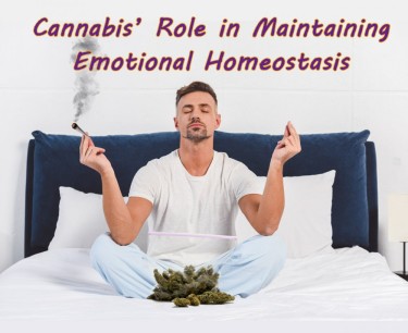 MARIJUANA AND EMOTIONAL HOMOSTATIS