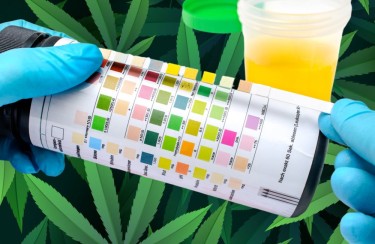 end of cannabis drug testing