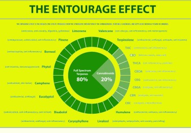 ENTOURAGE EFFECT WITH CBN AND CBG