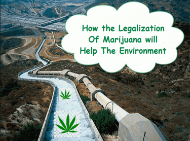 HOW LEGALIZATION WILL HELP THE ENVIRONMENT