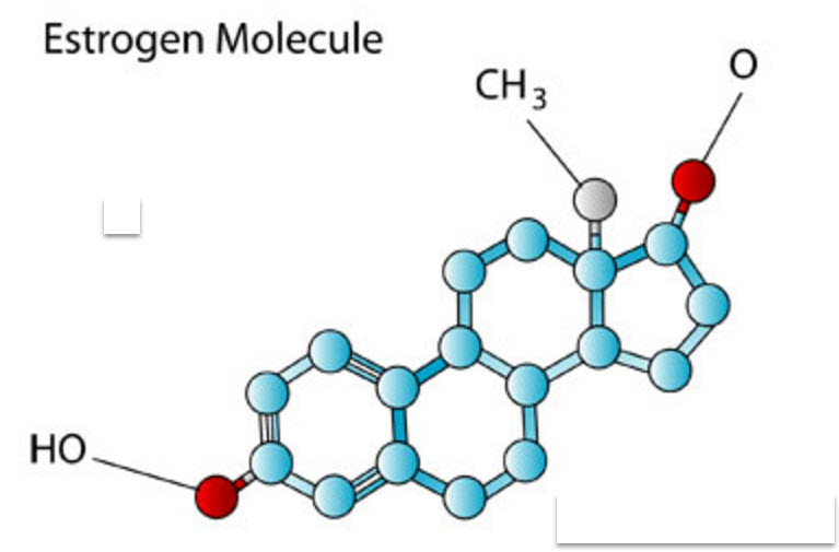 estogen and cannabis