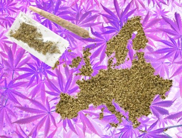 European cannabis investments