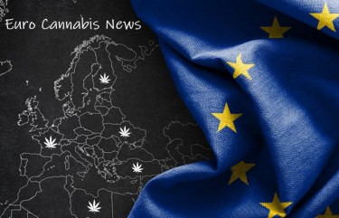 유럽 ​​대마초 뉴스 보고서