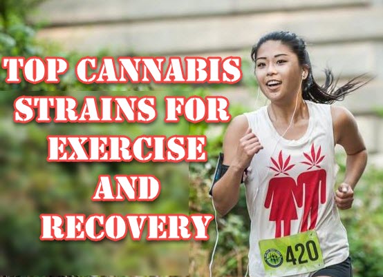 CANNABIS STRAINS FOR EXERCISE RECOVERY