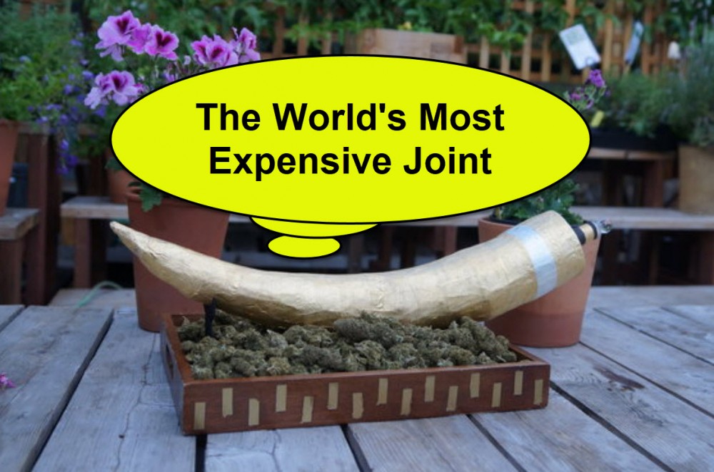 EXPENSIVE JOINTS OF GOLD CANNABIS