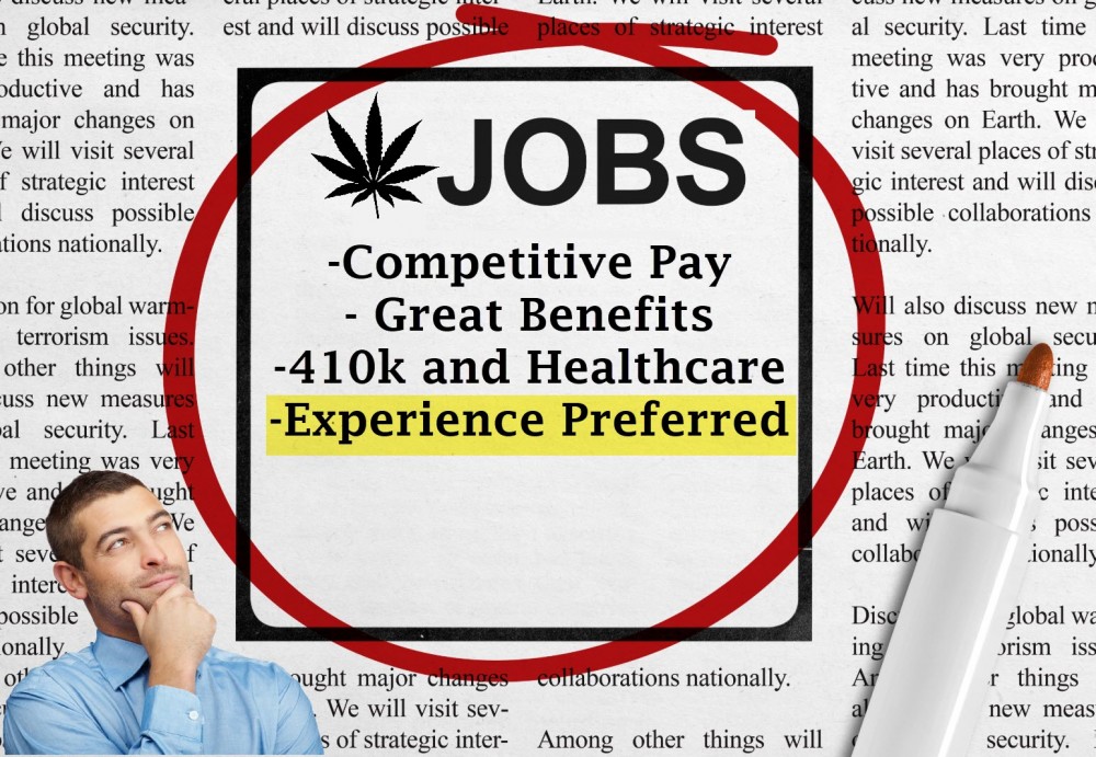 CANNABIS JOB EXPERIENCE IDEAS