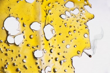 CANNABIS EXTRACTION BUSINESS