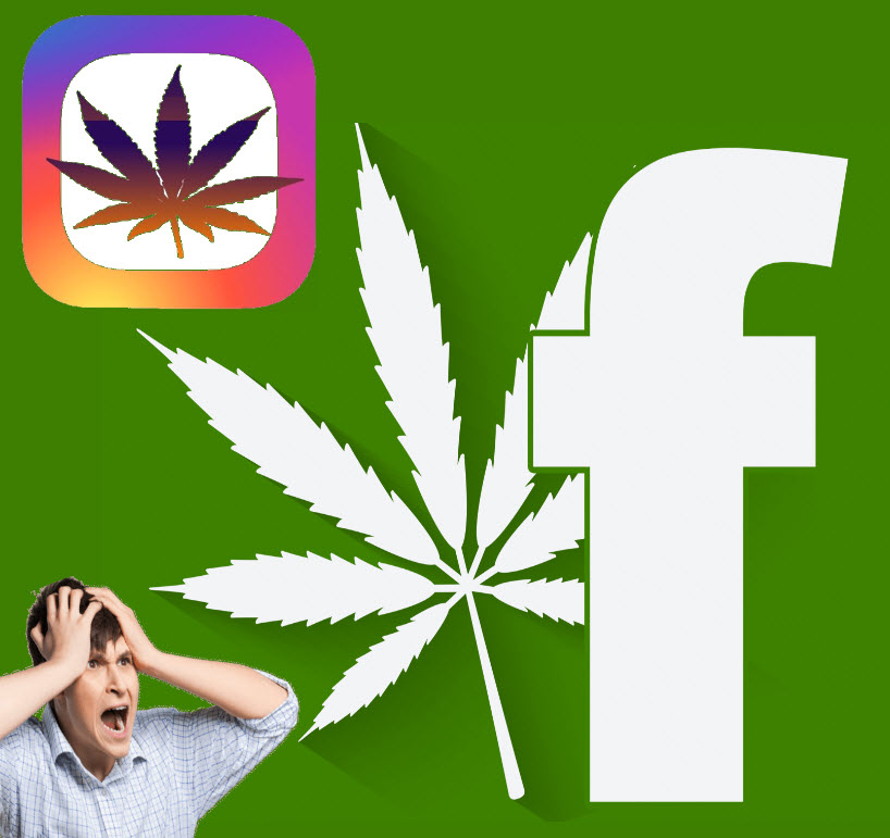 FACEBOOK AND INSTAGRAM ON MARIJUANA POLICY