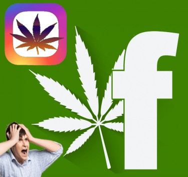 FACEBOOK AND IG ON CANNABIS 