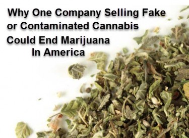 CONTAMINATED CANNABIS PRODUCTS