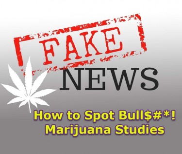 HOW TO DETECT FAKE MARIJUANA STUDIES