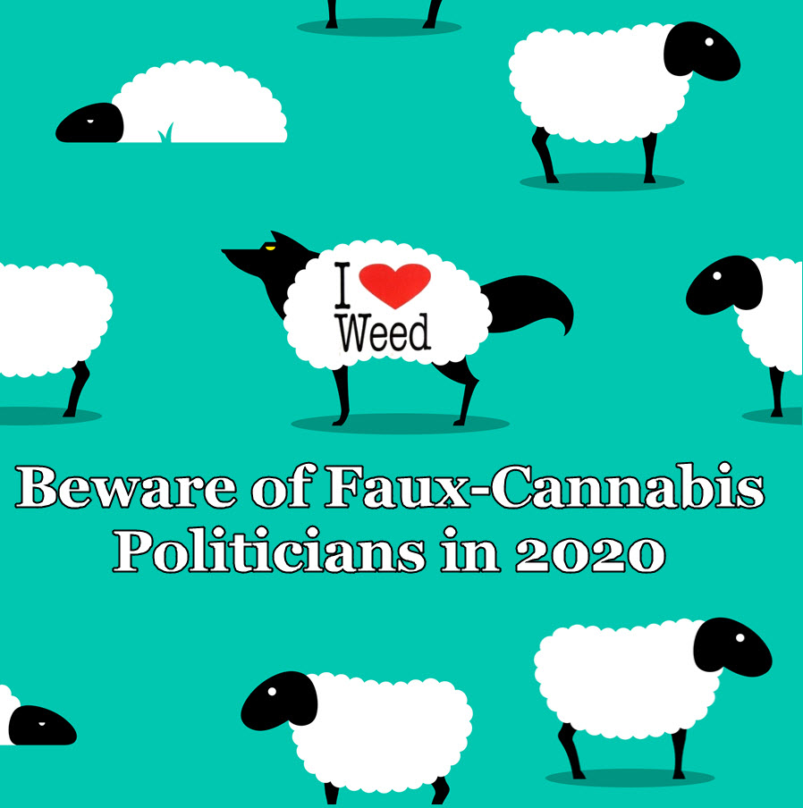 fake cannabis politicans