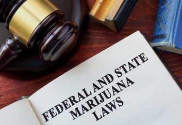 federal marijuana laws