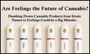 ARE FEELINGS THE FUTURE OF CANNABIS PRODUCTS DOSIST