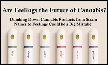 ARE FEELINGS THE FUTURE OF CANNABIS