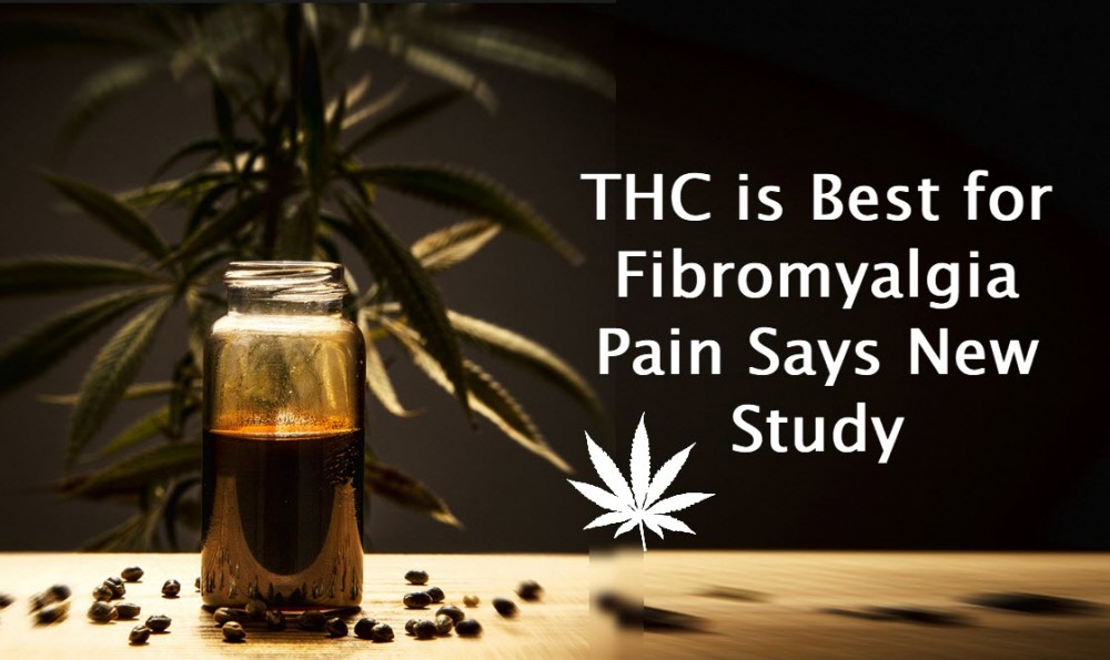 THC FOR FIBROMYALGIA PAIN