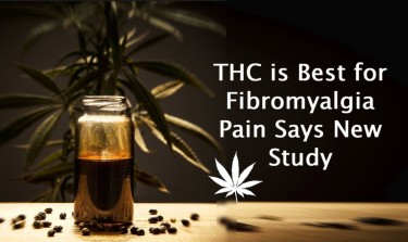 THC IS BEST FOR FIBROMYALGIA