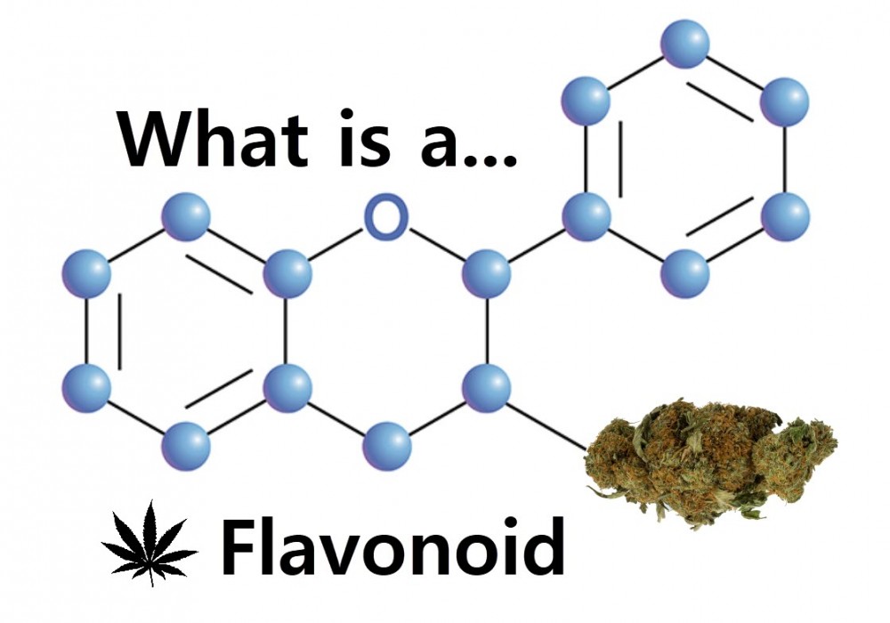 marijuana flavonoids 