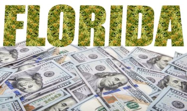 florida fundraising for marijuana legalization