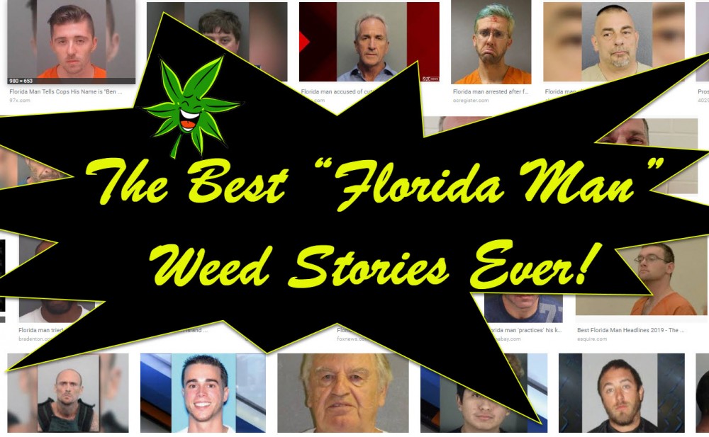 florida man weed marijuana stories