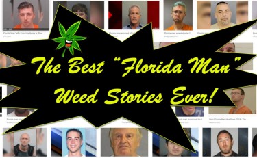 FLORIDA MAN STORIES ABOUT WEED