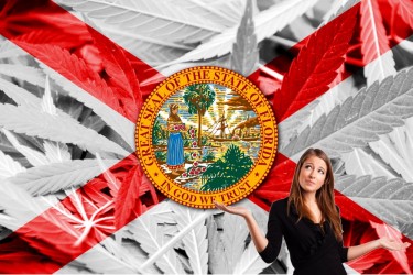 FLORIDA SUPREME COURT SAYS NO TO MARIJUANA LEGALIZATION