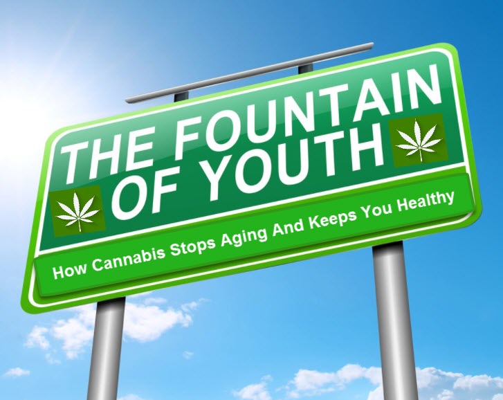 MARIJUANA IS THE FOUNTAIN OF YOUTH