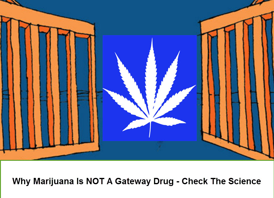 CANNABIS IS NOT A GATEWAY DRUG