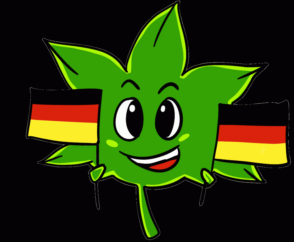 cannabis germany trial
