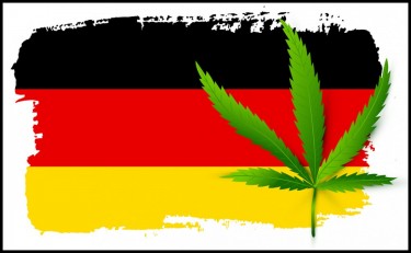 GERMAN CANNABIS STARTUPS