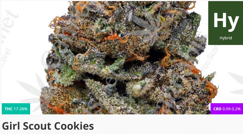 girl scout cookies marijuana