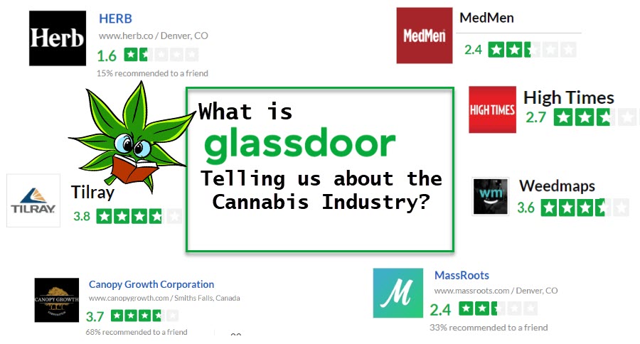 CANNABIS JOBS ON GLASSDOOR REVIEWS