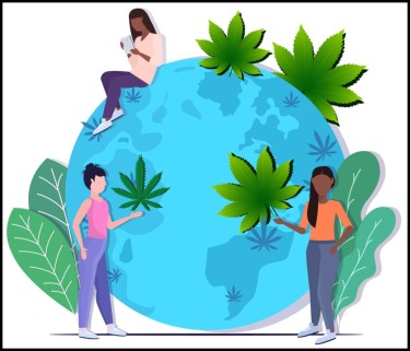 global marijuana news