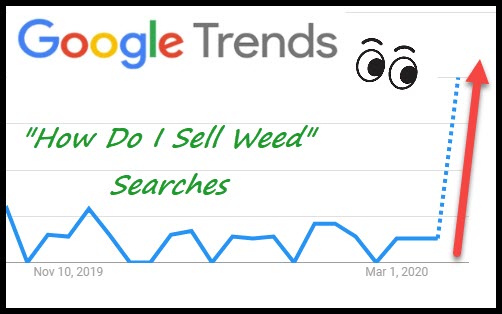 GOOGLE SEARCHES ON GROWING WEED SENDING WEED SHIPPING MARIJUANA