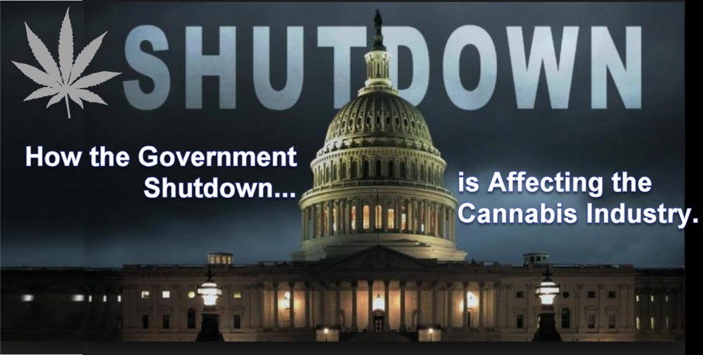 government shutdown cannabis