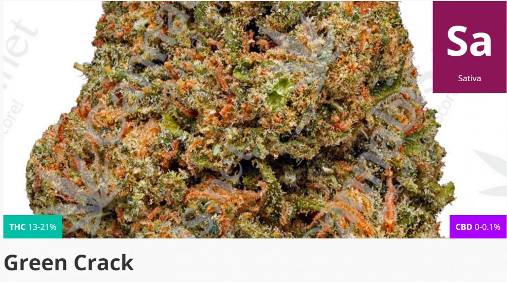 green crack marijuana