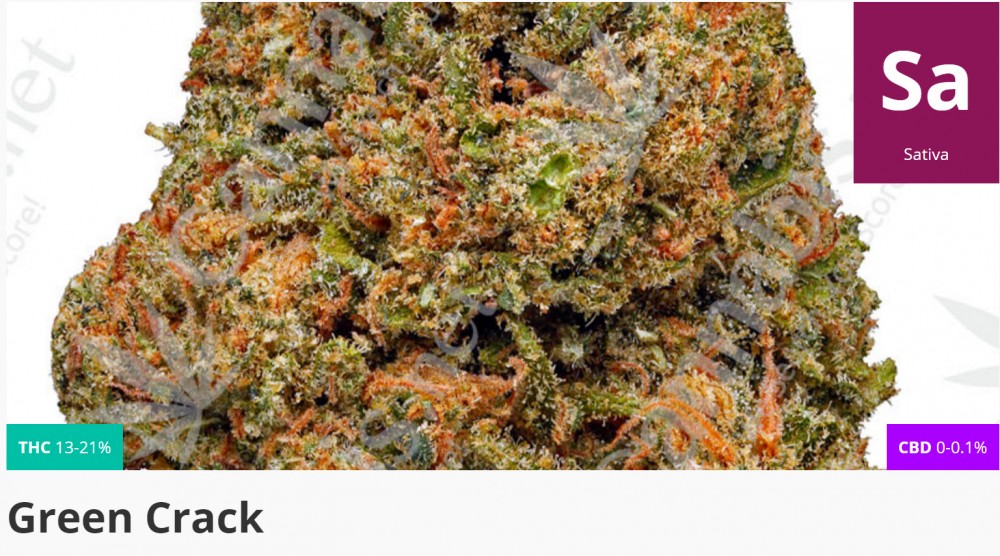 green crack cannabis strain