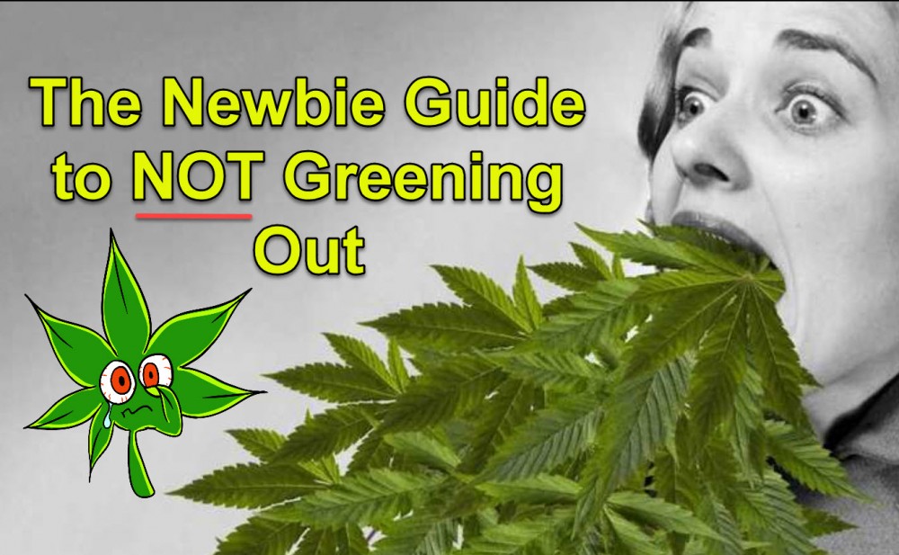 greening out and how not to do it