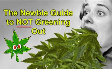 WHAT IS GREENING OUT WITH MARIJUANA CANNABIS OVERDOSE