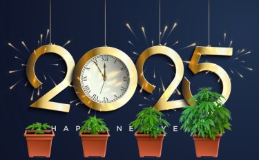 growing your own cannabis in 2025