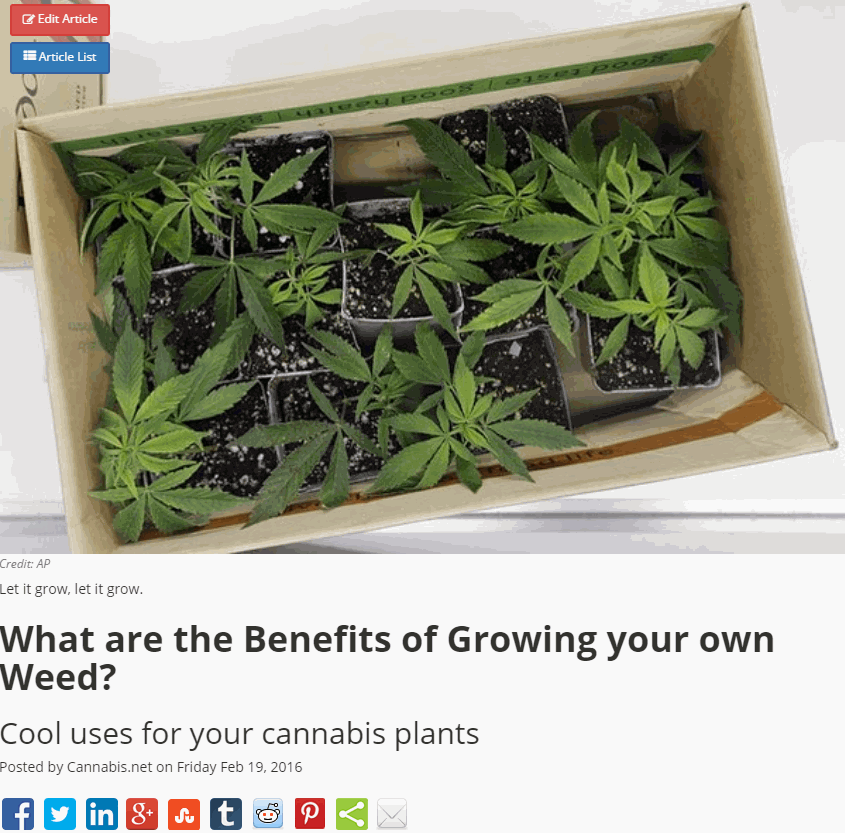 BENEFITS OF GROWING MARIJUANA