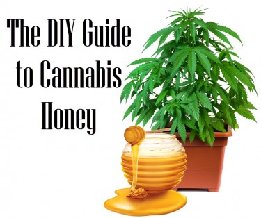 GUIDE TO CANNABIS HONEY