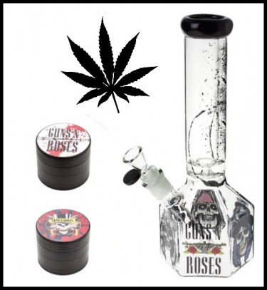 guns n roses cannabis store