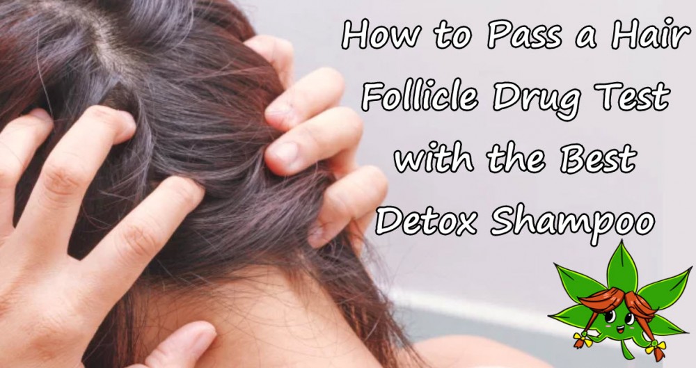 Got A Hair Follicle Drug Test Coming Up? Here's The One Proven Way To Pass  It