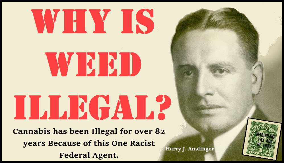 HARRY ANSLINGER CANANBIS ILLEGAL