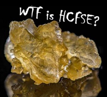 WHAT IS HCFSE