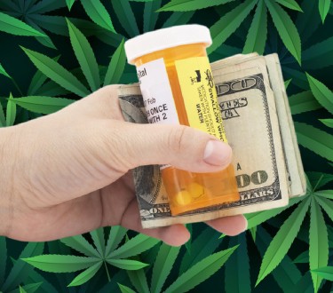 HEALTH INSURANCE PREMIUMS AND MEDICAL MARIJUANA LEGALIZATION